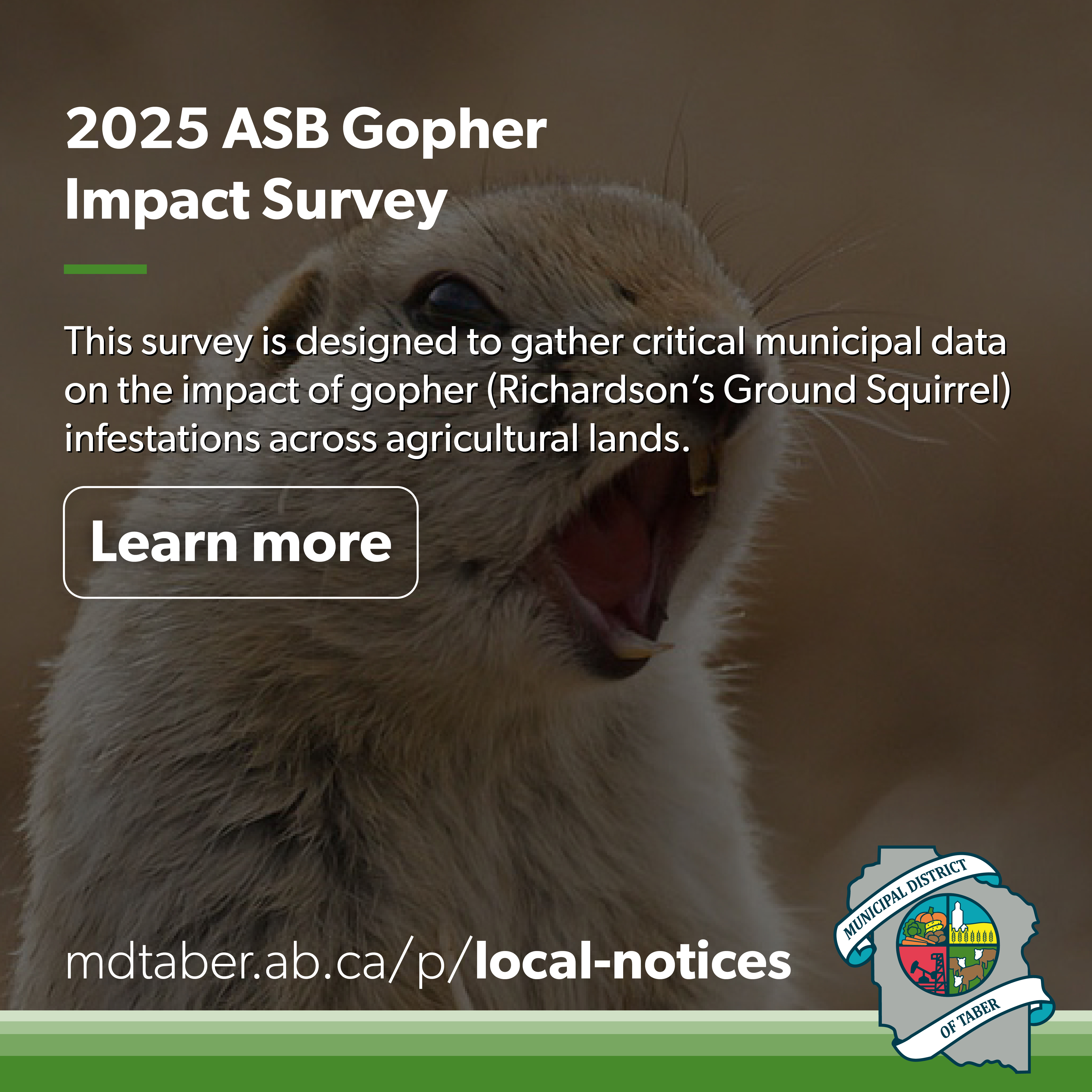 2025 Gopher Impact Study