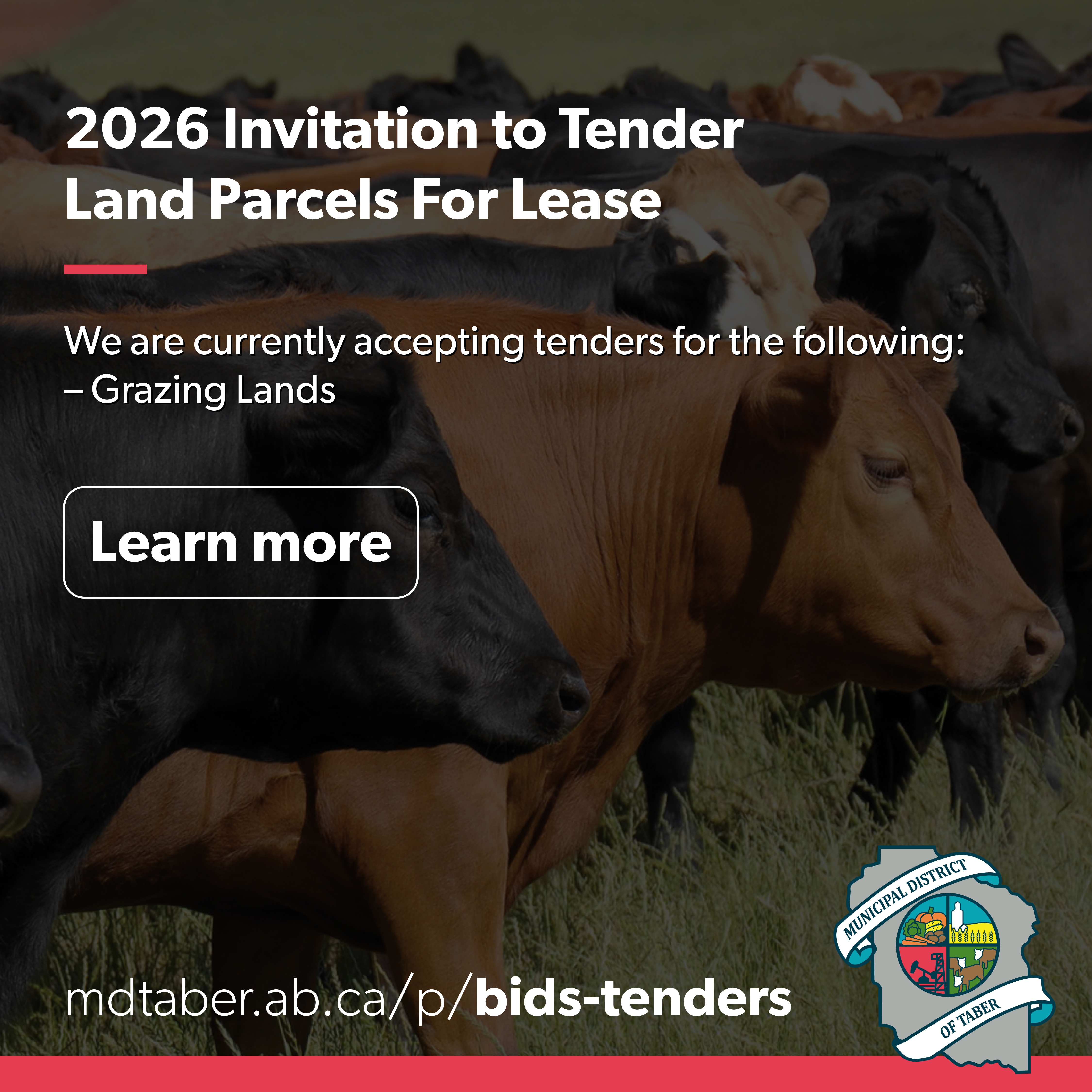 Land Parcel For Lease