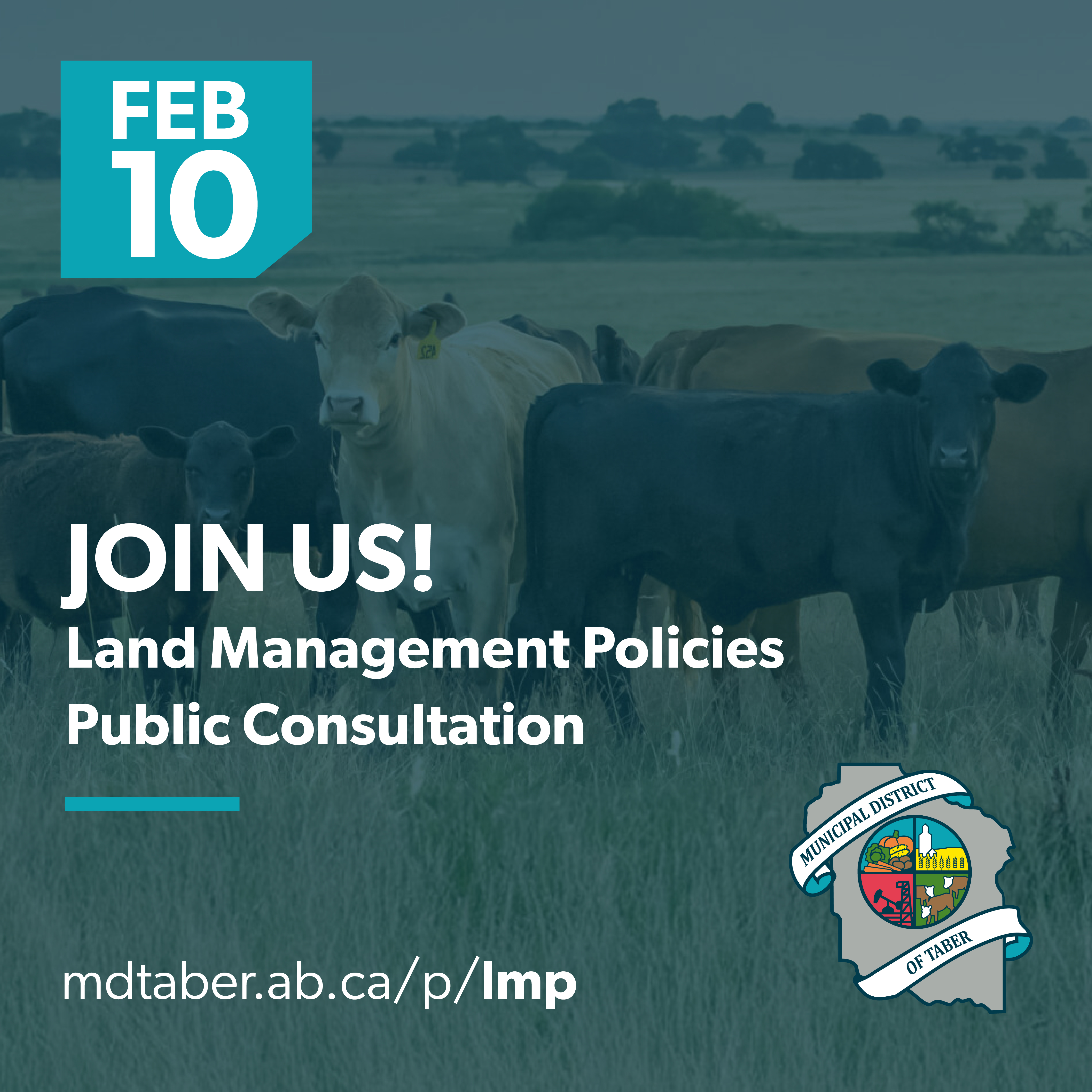 Land Management Policies Public Consultation
