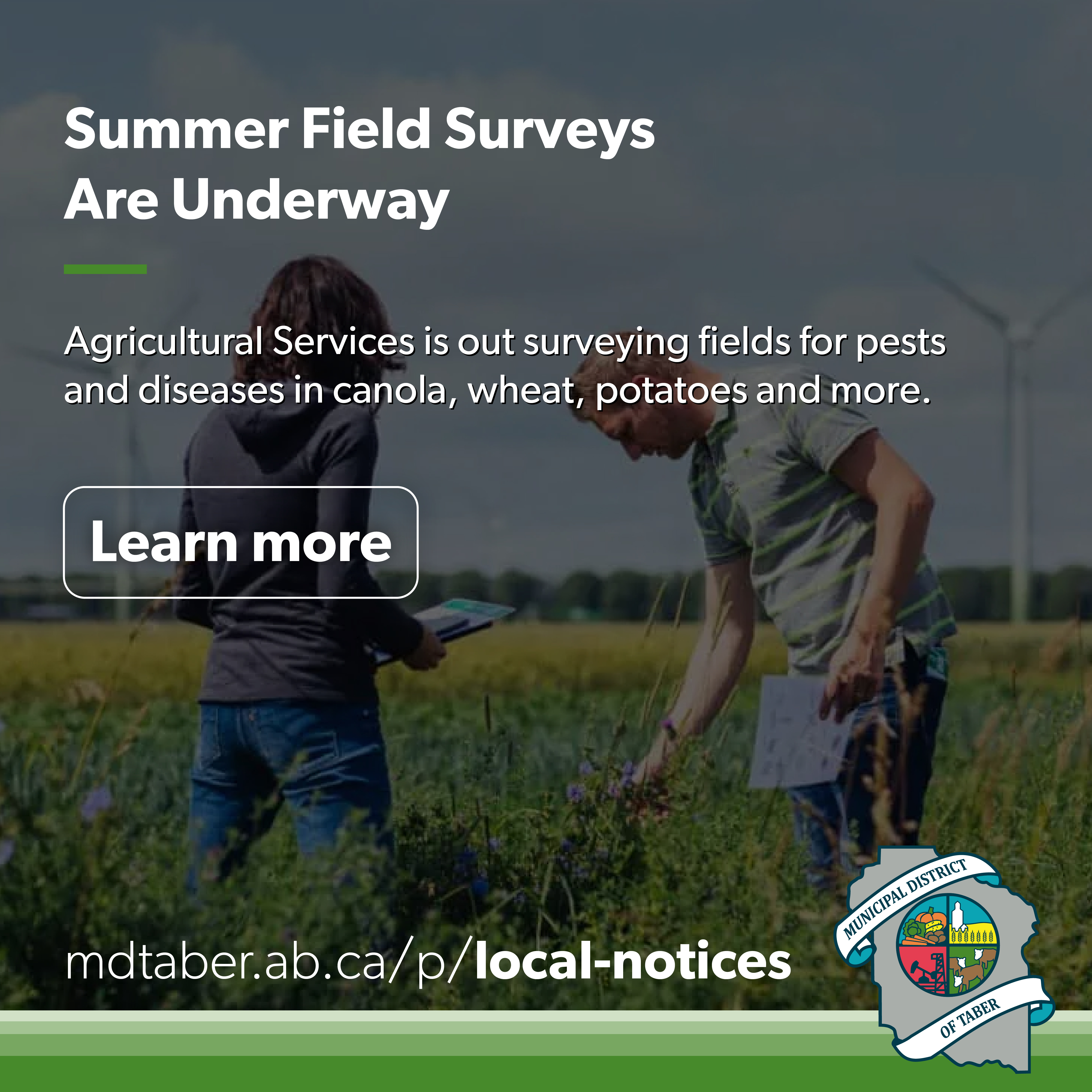 Summer Field Surveys Underway