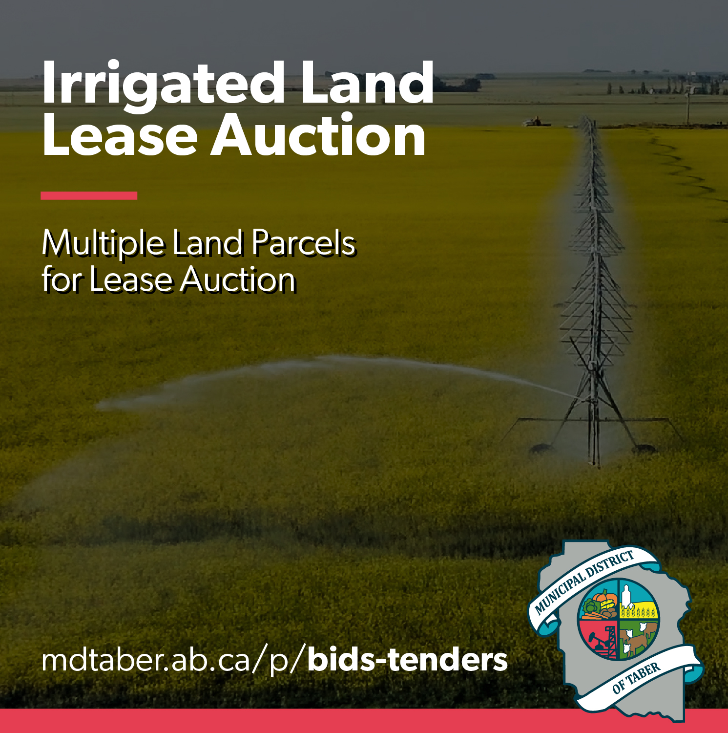 Irrigated Land Lease Auction