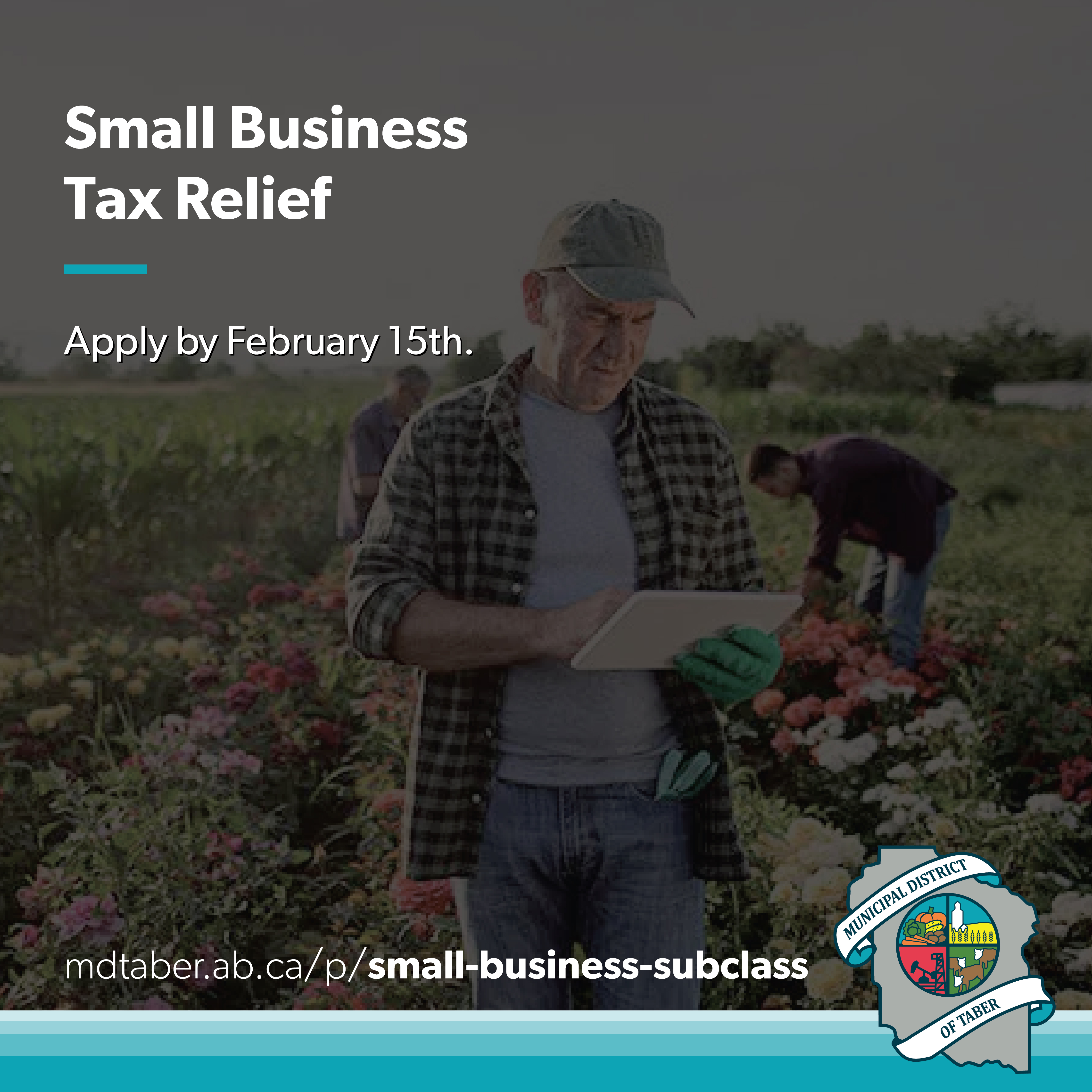 Small Business Tax Relief