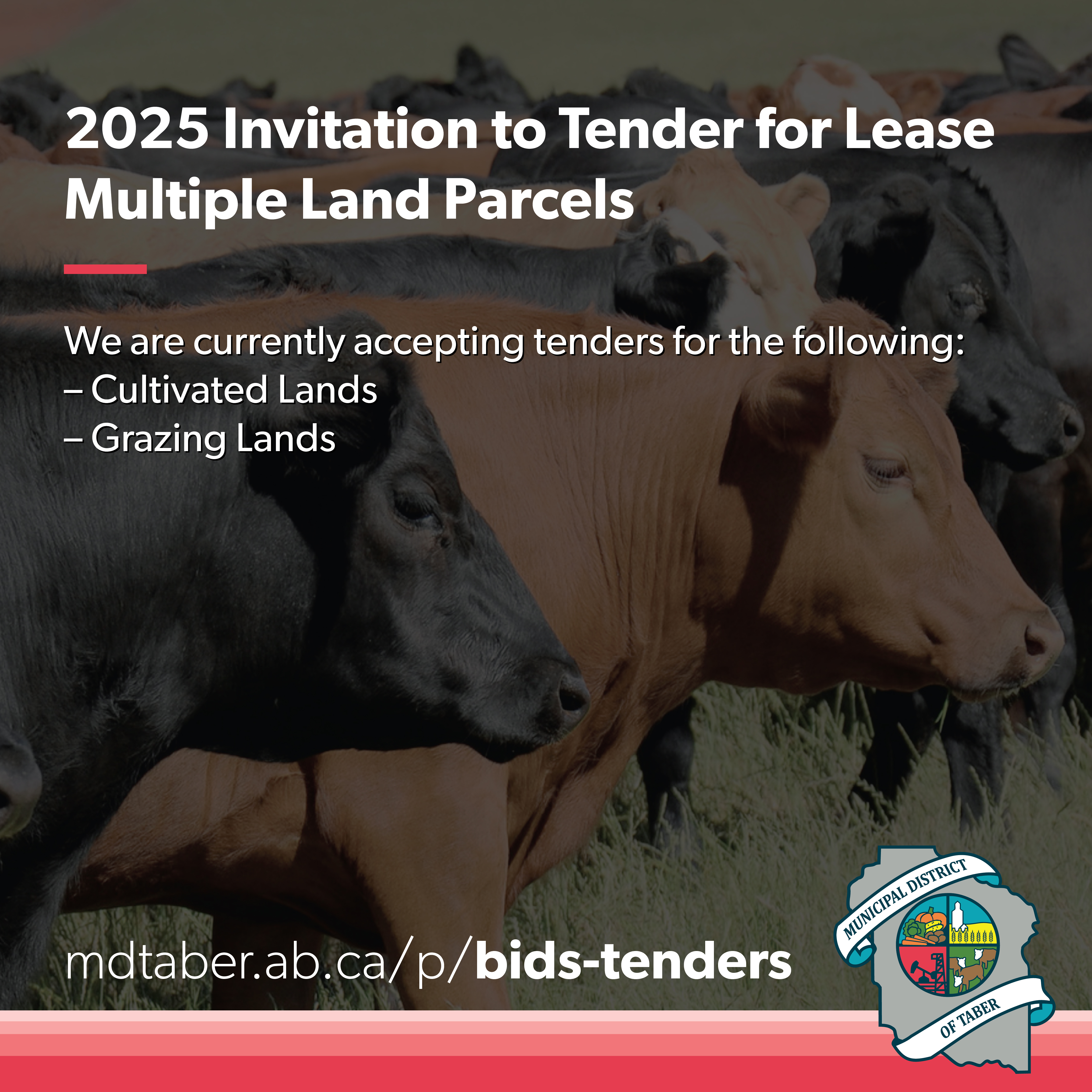 2025 Invitation to Tender — Multiple Land Parcels for Lease