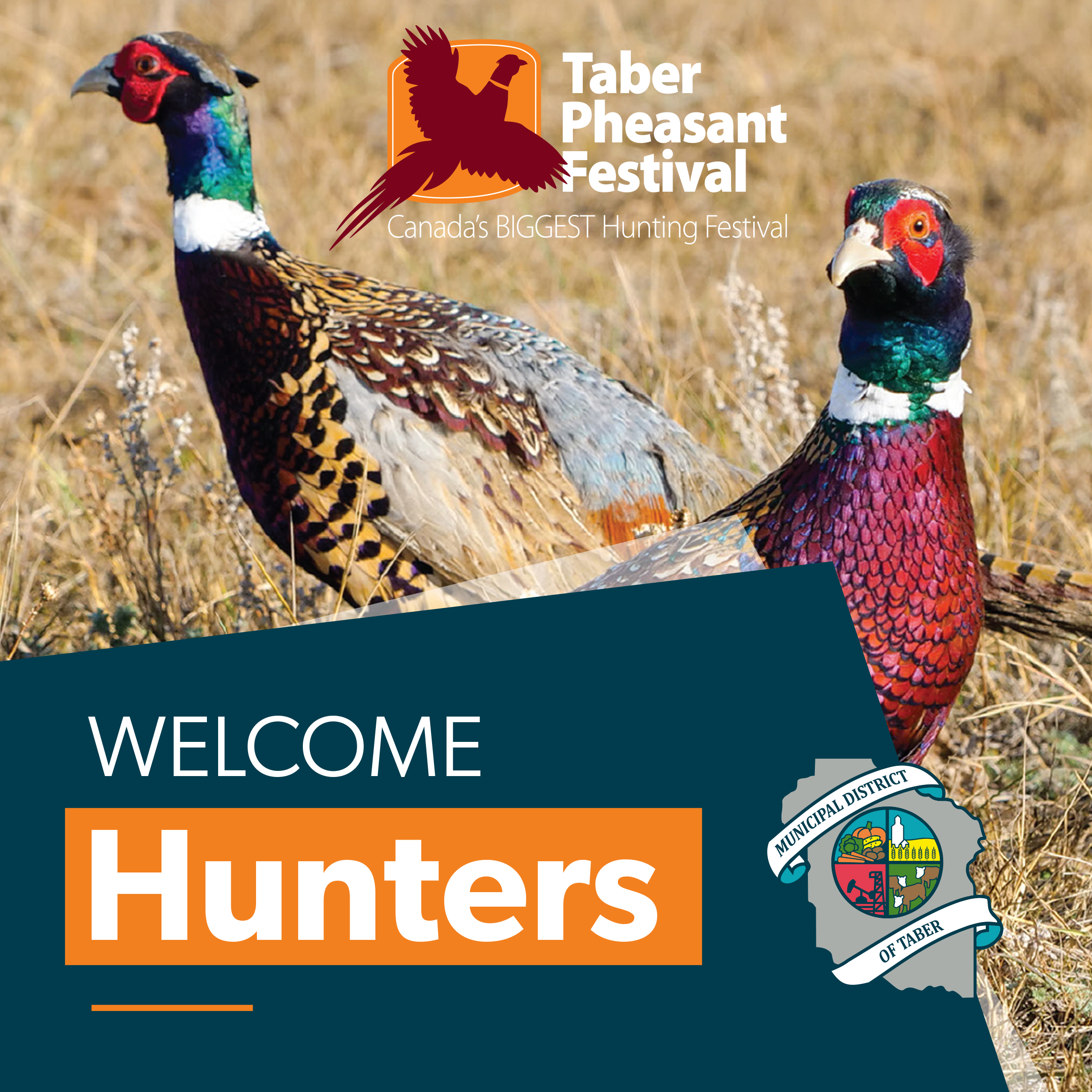 Taber Pheasant Festival