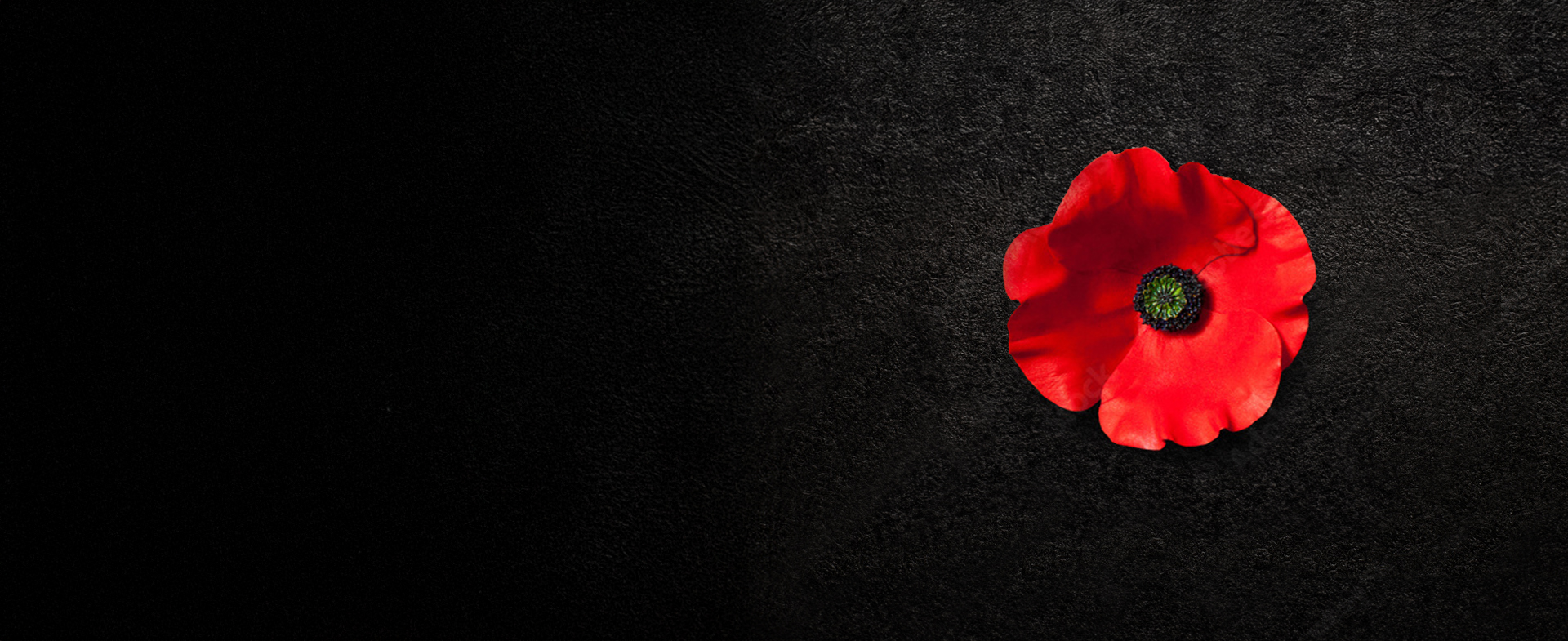 November 11th We will remember them.