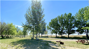 Grassy Lake Community Campground - Camp Sites
