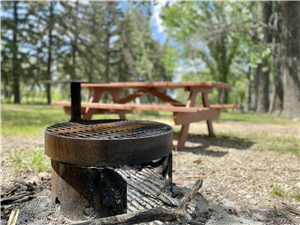Hays Campground - Firepit